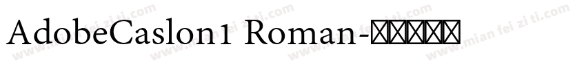 AdobeCaslon1 Roman字体转换